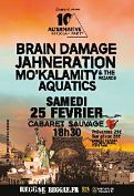 flyer-concert-Brain Damage-concert-Alternative Reggae Party #10 (Cabaret Sauvage)