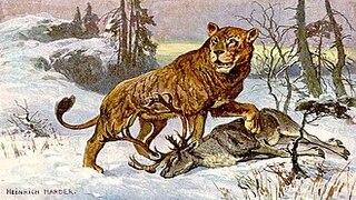 photo docs histoire  :  L’union du Lion et de Zion  puissance et élévation 
