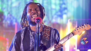 photo du docs histoire 👉 Ziggy Marley huit Grammy reggae fils de Bob