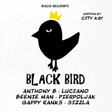 pochette-cover-artiste-City Kay-album-Black Bird Riddim
