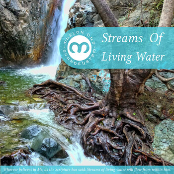 pochette-cover-artiste-Muflon Dub Soundsystem-album-Streams Of Living Water
