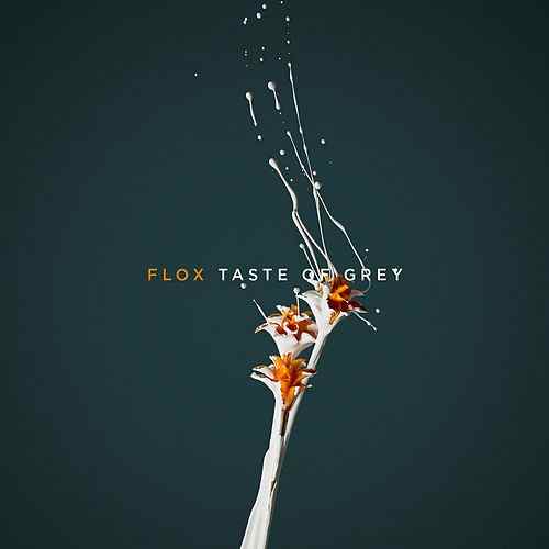 pochette-cover-artiste-Flox-album-Taste Of Grey