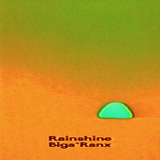 pochette cover artiste Biga*RanxAlbum-Rainshine