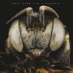 pochette-cover-artiste-Kaly Live Dub-album-Sisters From Conscious Land
