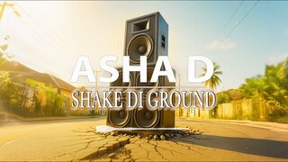 photo video : Asha D Shake Di Ground