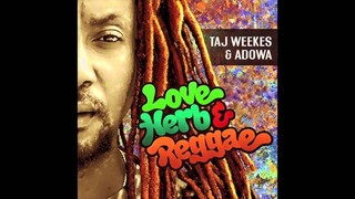 pochette-cover-artiste-Taj Weekes & Adowa-album-Taj Weekes & Adowa Love Herb 